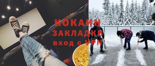 крисы Алзамай