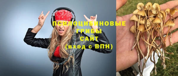 крисы Алзамай