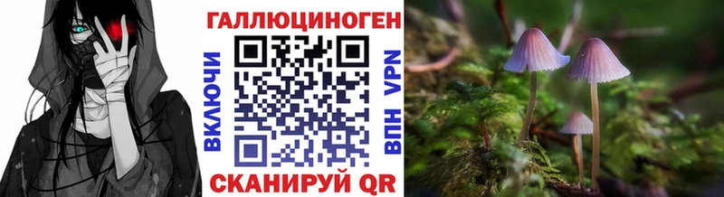 Псилоцибиновые грибы Psilocybe  Алексин 